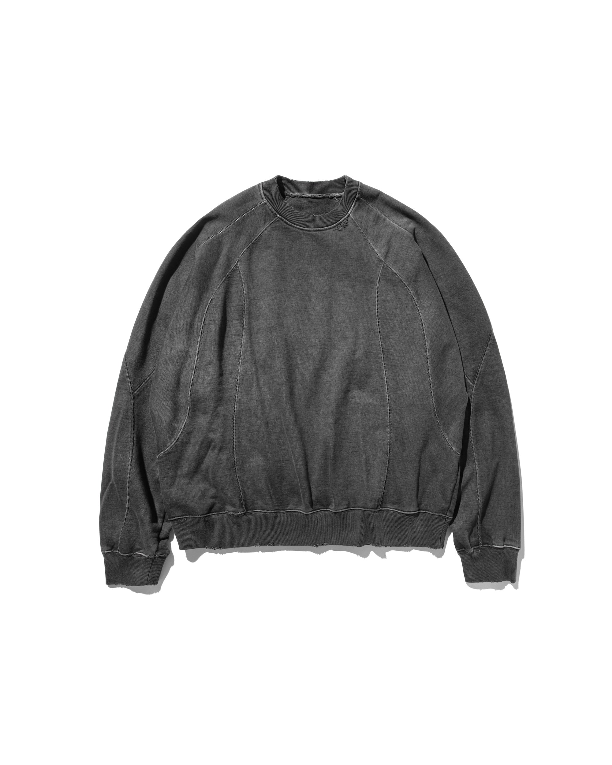 PIGMENT DYE FUTURE SWEATSHIRT