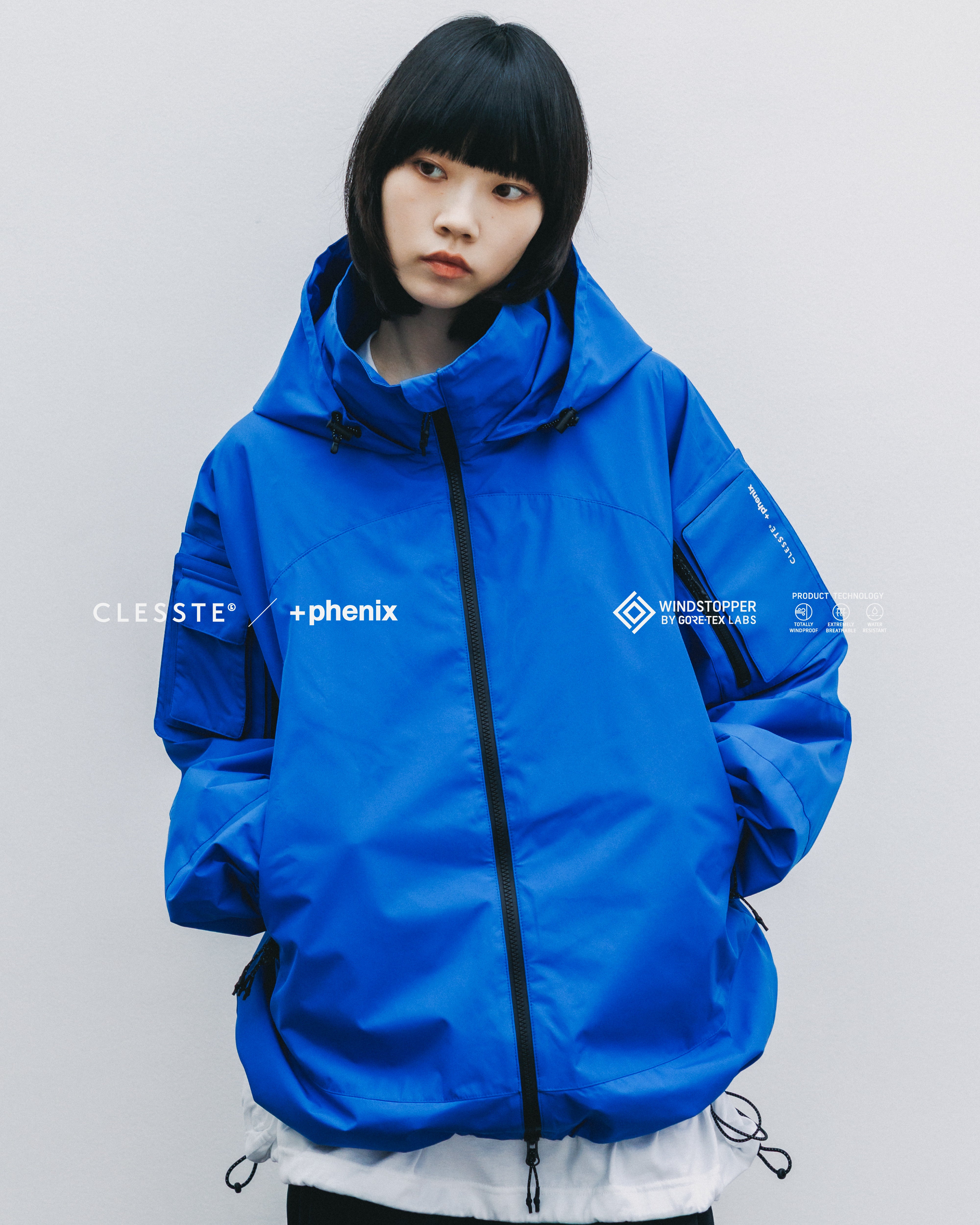 CLESSTE