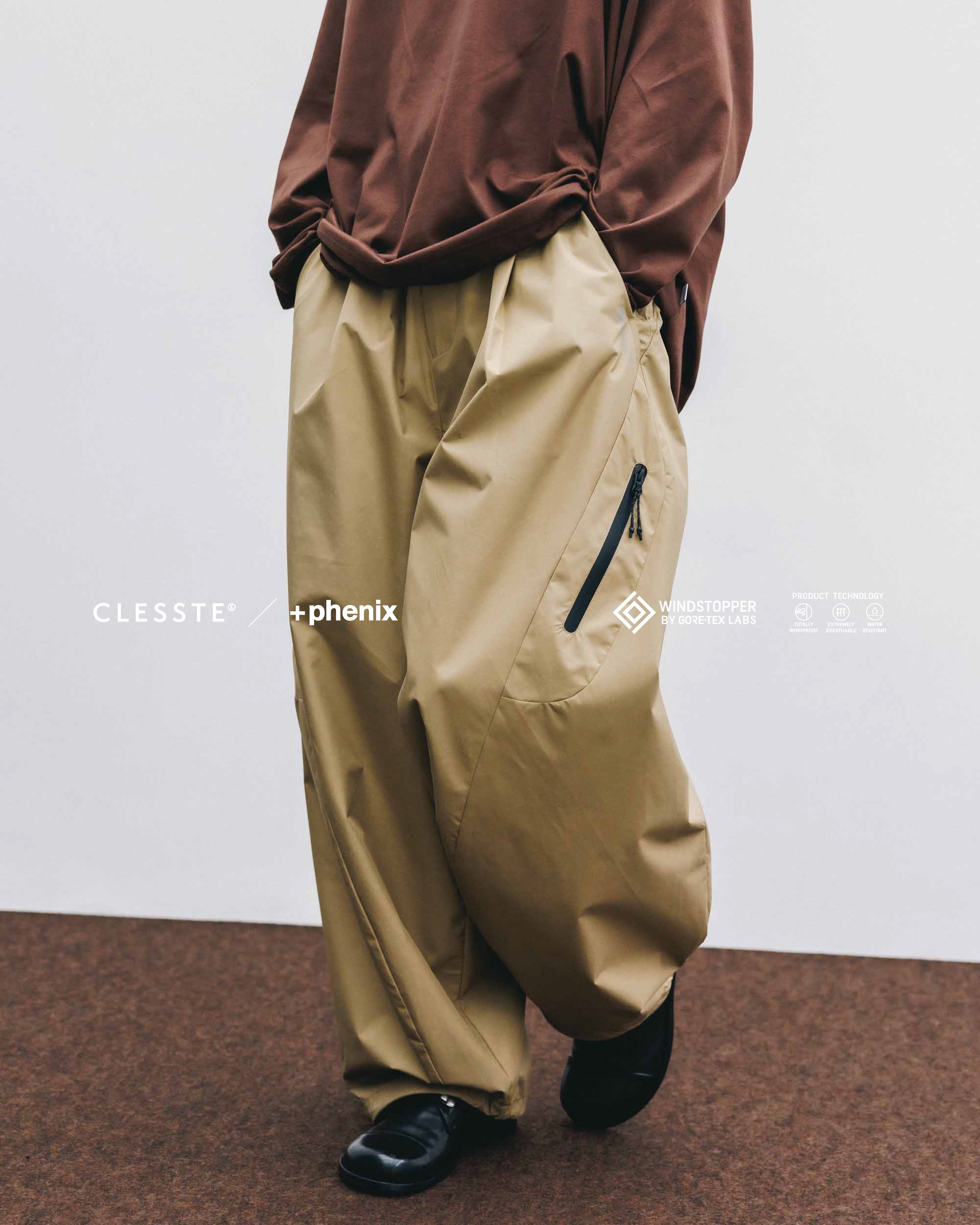CLESSTE