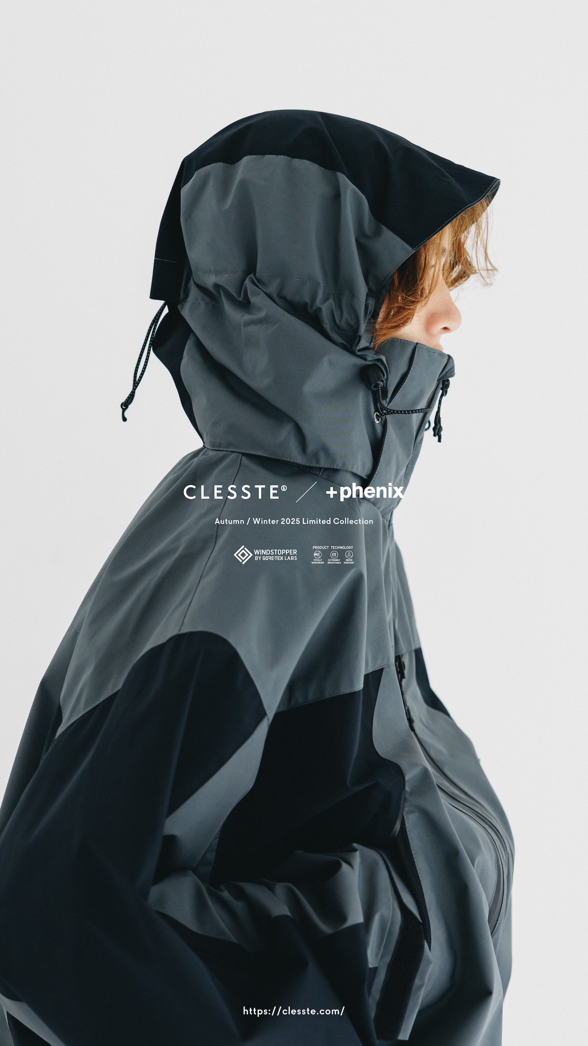 CLESSTE