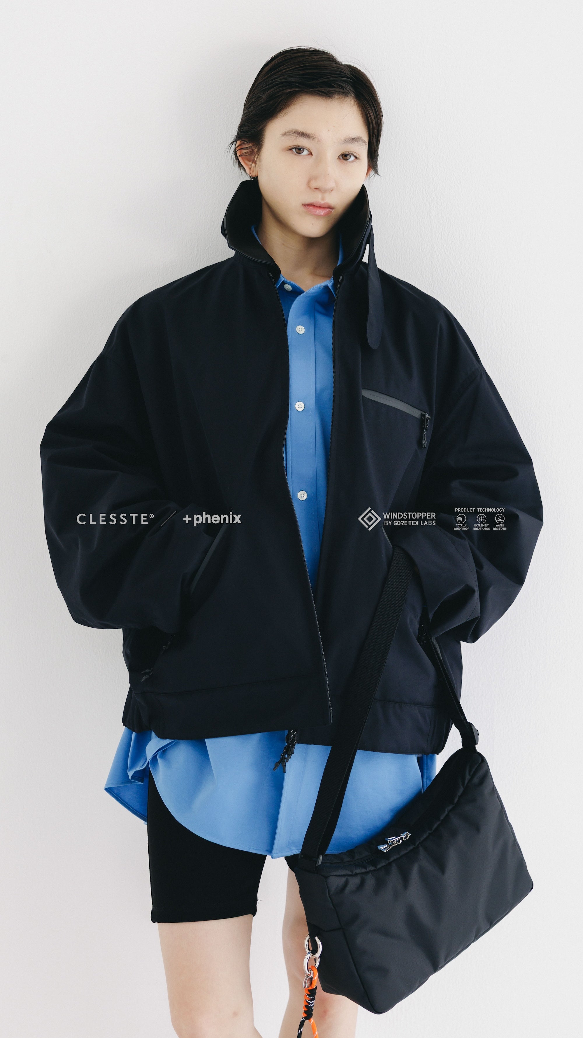 CLESSTE