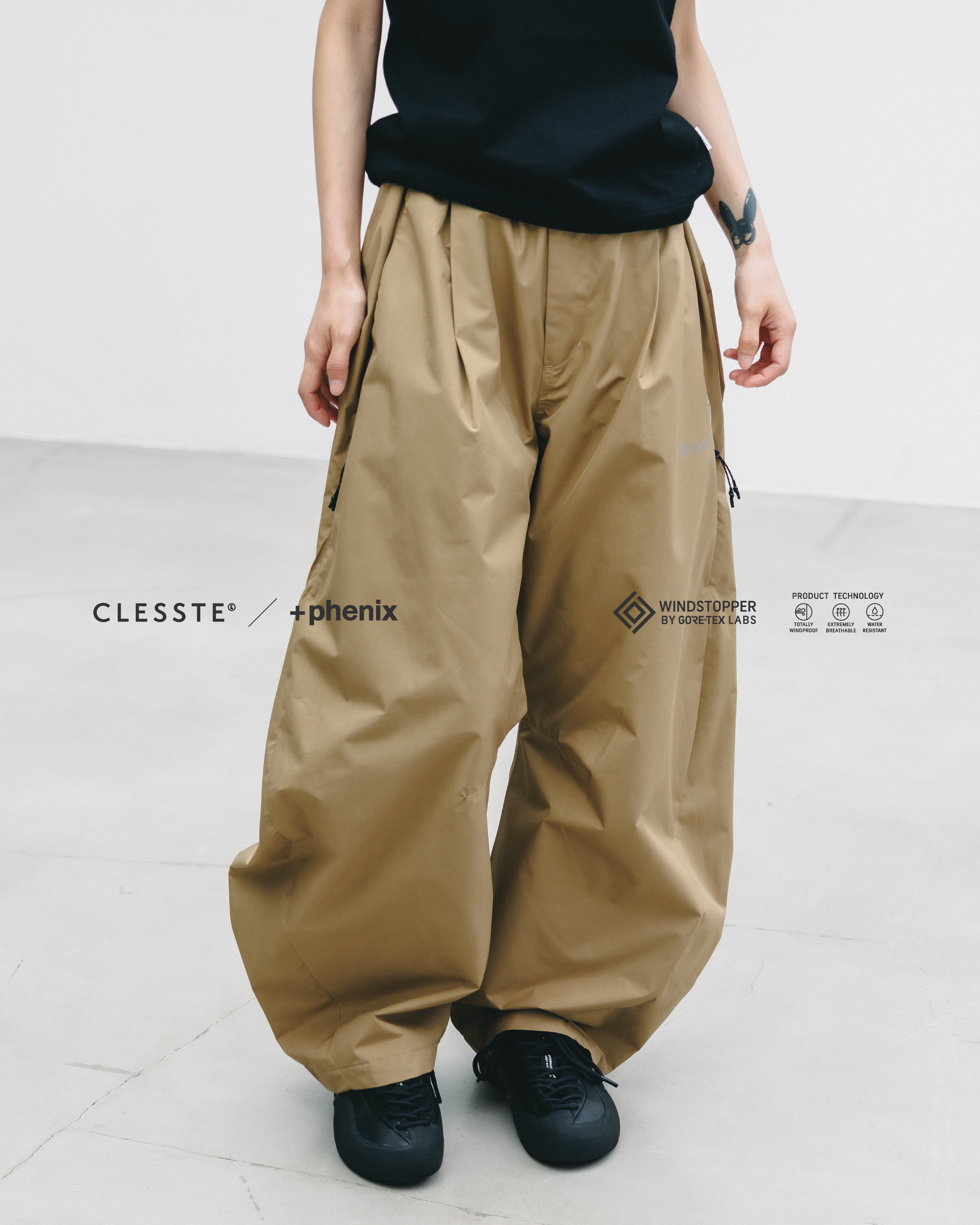 CLESSTE