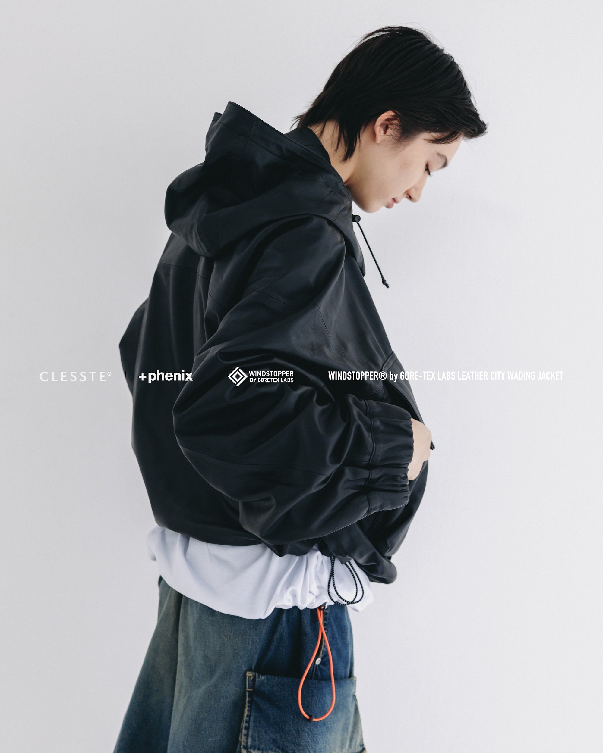 CLESSTE