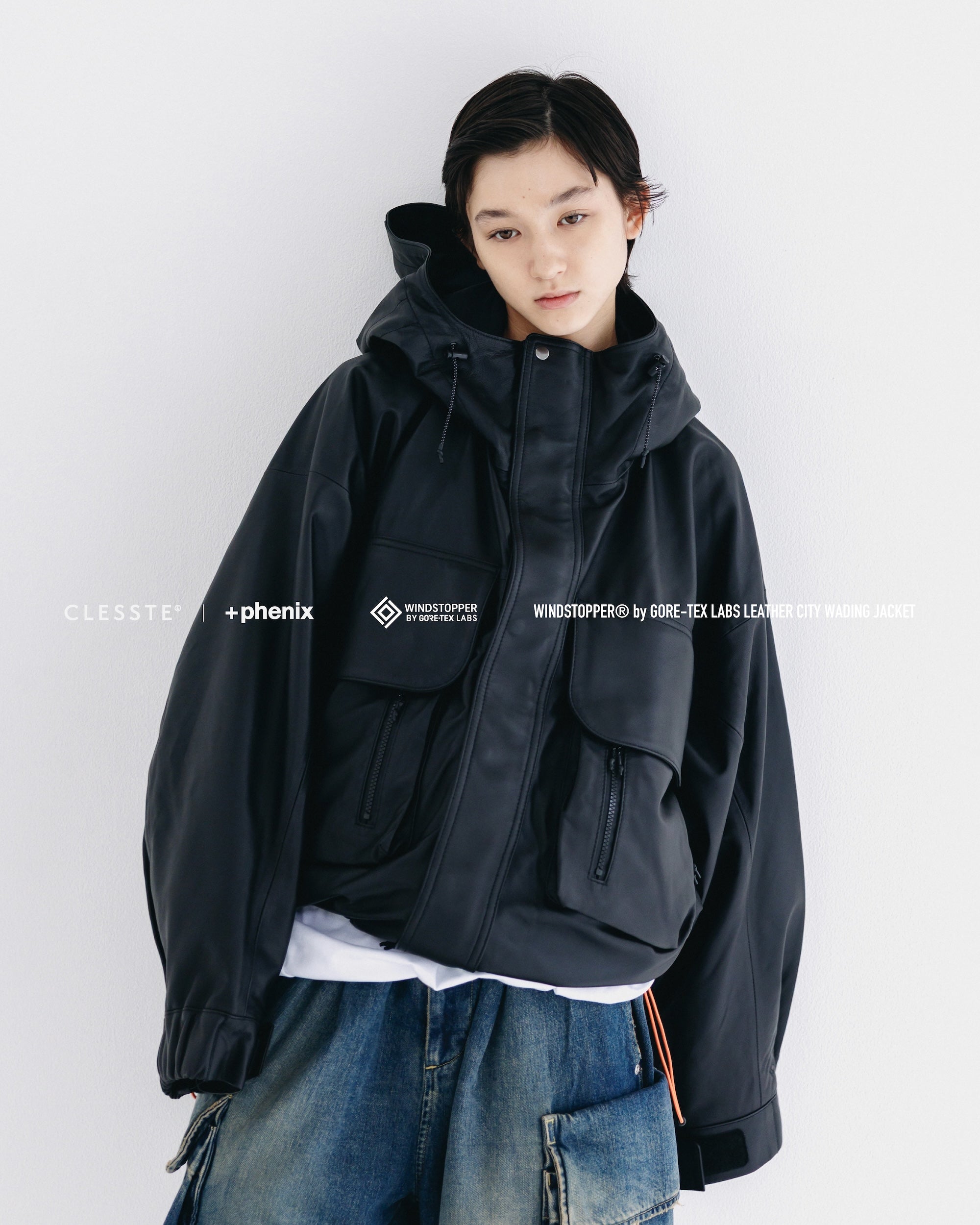 CLESSTE